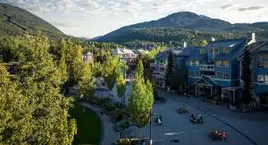 Moving from Calgary to Whistler